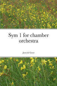 Sym 1 for chamber orchestra