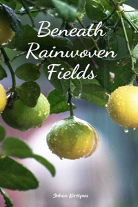 Beneath Rainwoven Fields