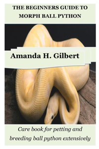 Beginners Guide to Morph Ball Python