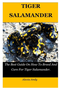 Tiger Salamander