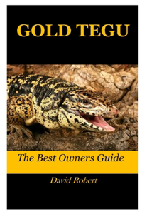 Gold Tegu