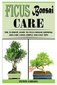Ficus Bonsai Care