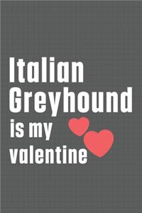 Italian Greyhound is my valentine