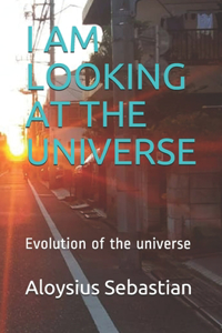 I Am Looking at the Universe