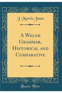 A Welsh Grammar, Historical and Comparative (Classic Reprint)