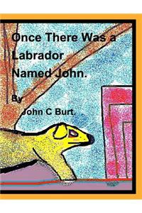 Once There Was a Labrador Named John.