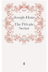 The Private Sector