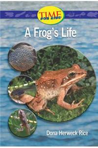 A Frog's Life