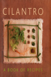 Cilantro