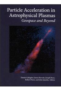 Particle Acceleration in Astrophysical Plasmas