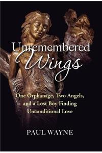 Unremembered Wings