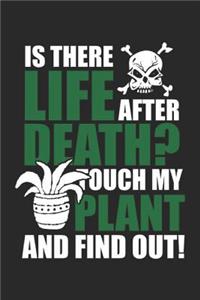 Is There Life After Death? Touch My Plant And Find Out!