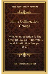 Finite Collineation Groups