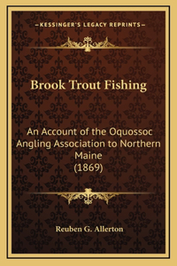 Brook Trout Fishing