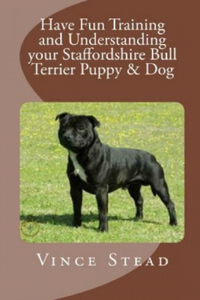 Have Fun Training and Understanding Your Staffordshire Bull Terrier Puppy & Dog