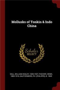 Mollusks of Tonkin & Indo China