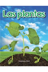 Plantas (Plants) Lap Book (Spanish Version)