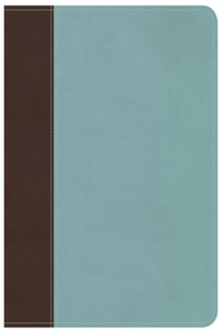 Life Essentials Study Bible, Brown/Blue LeatherTouch Indexed