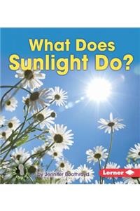 What Does Sunlight Do?
