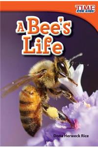 A Bee's Life (Library Bound)