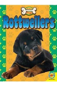 Rottweilers