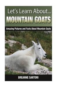Mountain Goats