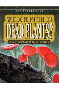Why Do Fungi Feed on Dead Plants?