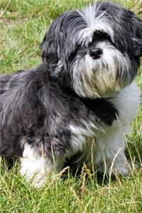 Cute Doggy Journal