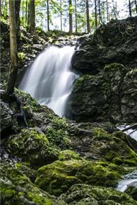 A Lovely Waterfall and Moss Covered Rocks in the Forest Journal