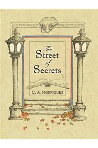 The Street of Secrets