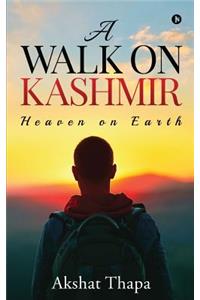 A Walk on Kashmir