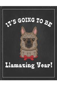 It's Going To Be Llamazing Year