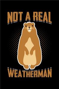 Not A Real Weatherman