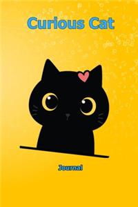 Curious Cat