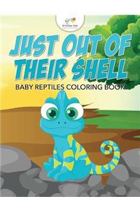 Just Out of Their Shell