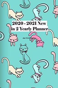 2020-2021 New in 2 Yearly Planner