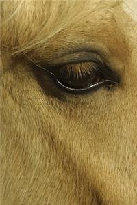 2020 Weekly Planner Horse Photo Equine Eye 134 Pages