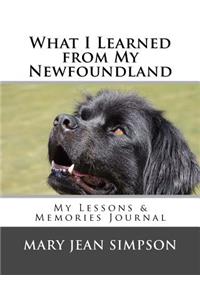 What I Learned from My Newfoundland