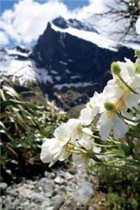 Flowers and Mountains at Milford Sound, New Zealand Journal