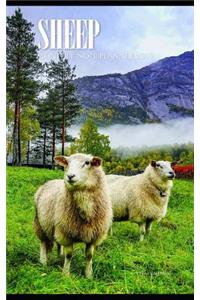 Sheep Monthly Note Planner 2019 1 Year Calendar