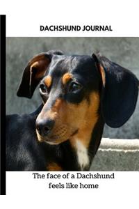 Dachshund Journal