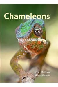 Chameleons