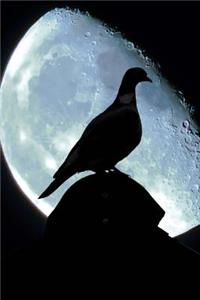 Pigeon Silhouette and the Moon Journal