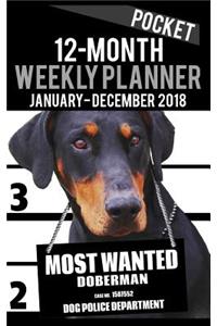 2018 Pocket Weekly Planner - Most Wanted Doberman Pinscher