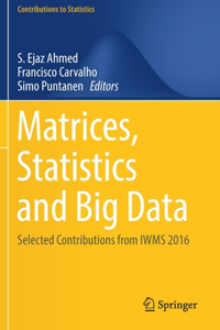 Matrices, Statistics and Big Data