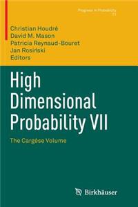 High Dimensional Probability VII