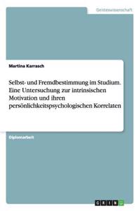 Selbst- Und Fremdbestimmung Im Studium. Eine Untersuchung Zur Intrinsischen Motivation Und Ihren Persönlichkeitspsychologischen Korrelaten