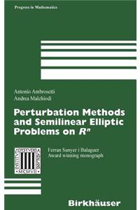 Perturbation Methods and Semilinear Elliptic Problems on R^n