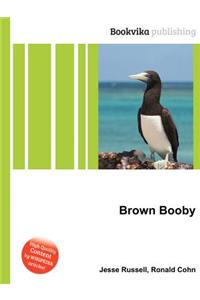 Brown Booby