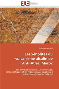 Les Xénolites Du Volcanisme Alcalin de l'Anti-Atlas, Maroc